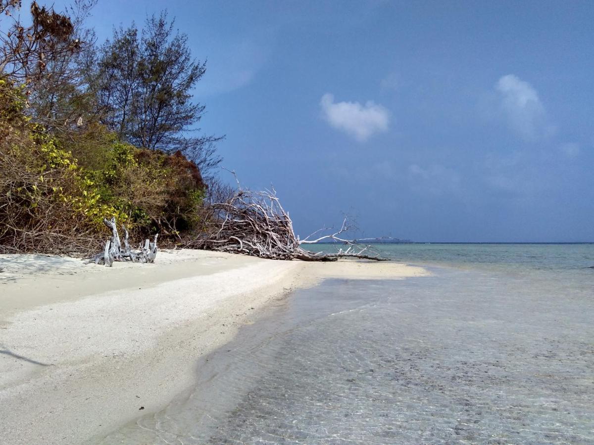 Asari Timo Cottage Karimunjawa Exteriér fotografie